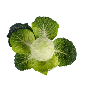 Olympic Supermarket - Shop Fullwidth 16 Organic Cabbage